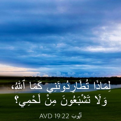 Picture 03 - أَيُّوبَ 19:22 AVD - لِمَاذَا تُطَارِدُونَنِي - Bible Verse Picture