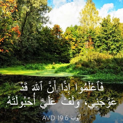 Picture 03 - أَيُّوبَ 19:6 AVD - فَٱعْلَمُوا إِذًا أَنَّ - Bible Verse Picture