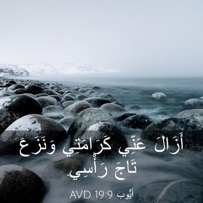 Picture 03 - أَيُّوبَ 19:9 AVD - أَزَالَ عَنِّي كَرَامَتِي - Bible Verse Picture