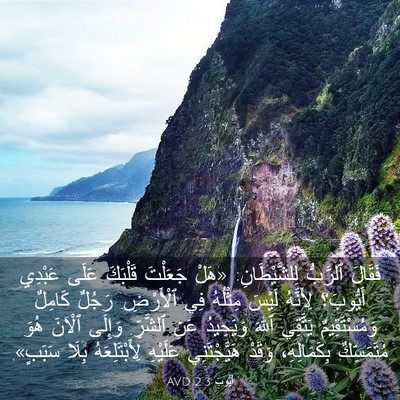 Picture 03 - أَيُّوبَ 2:3 AVD - فَقَالَ ٱلرَّبُّ - Bible Verse Picture