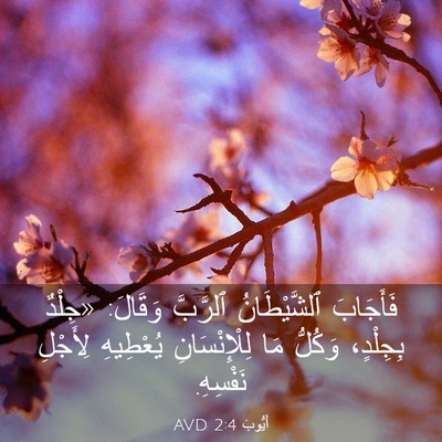 Picture 03 - أَيُّوبَ 2:4 AVD - فَأَجَابَ ٱلشَّيْطَانُ - Bible Verse Picture