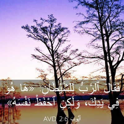 Picture 03 - أَيُّوبَ 2:6 AVD - فَقَالَ ٱلرَّبُّ - Bible Verse Picture