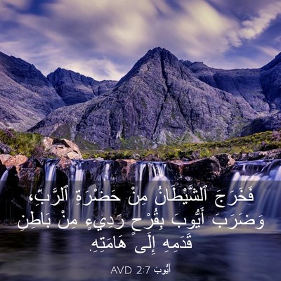 Picture 03 - أَيُّوبَ 2:7 AVD - فَخَرَجَ ٱلشَّيْطَانُ - Bible Verse Picture
