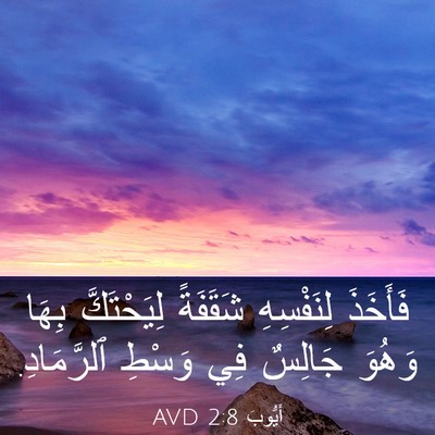 Picture 03 - أَيُّوبَ 2:8 AVD - فَأَخَذَ لِنَفْسِهِ - Bible Verse Picture