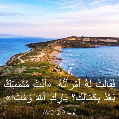 Picture 03 - أَيُّوبَ 2:9 AVD - فَقَالَتْ لَهُ - Bible Verse Picture