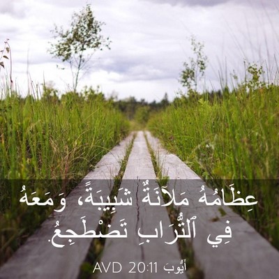 Picture 03 - أَيُّوبَ 20:11 AVD - عِظَامُهُ مَلآنَةٌ - Bible Verse Picture