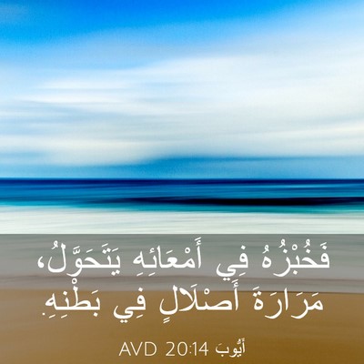 Picture 03 - أَيُّوبَ 20:14 AVD - فَخُبْزُهُ فِي - Bible Verse Picture