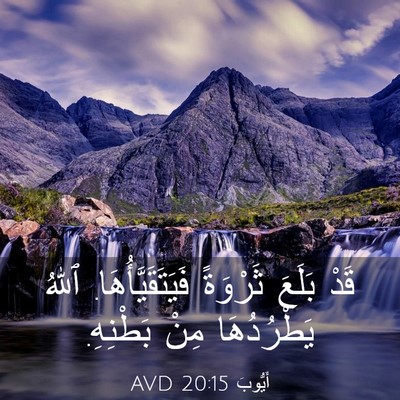 Picture 03 - أَيُّوبَ 20:15 AVD - قَدْ بَلَعَ ثَرْوَةً - Bible Verse Picture