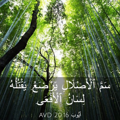 Picture 03 - أَيُّوبَ 20:16 AVD - سَمَّ ٱلْأَصْلَالِ - Bible Verse Picture