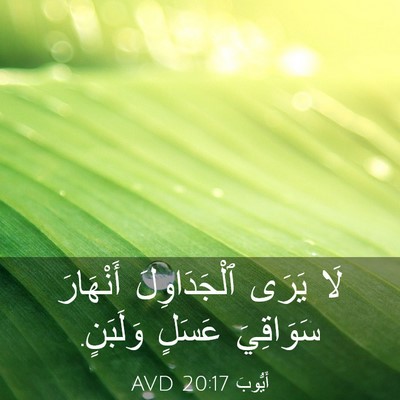 Picture 03 - أَيُّوبَ 20:17 AVD - لَا يَرَى ٱلْجَدَاوِلَ - Bible Verse Picture