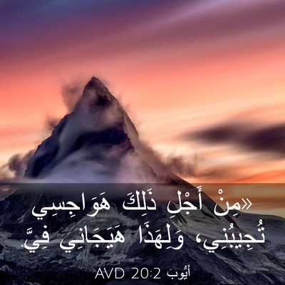 Picture 03 - أَيُّوبَ 20:2 AVD - «مِنْ أَجْلِ ذَلِكَ - Bible Verse Picture
