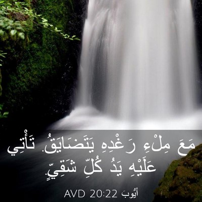 Picture 03 - أَيُّوبَ 20:22 AVD - مَعَ مِلْءِ رَغْدِهِ - Bible Verse Picture