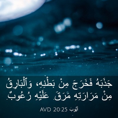 Picture 03 - أَيُّوبَ 20:25 AVD - جَذَبَهُ فَخَرَجَ مِنْ - Bible Verse Picture