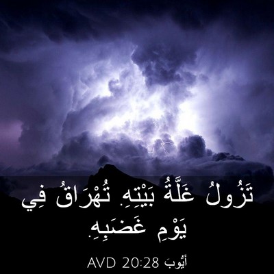 Picture 03 - أَيُّوبَ 20:28 AVD - تَزُولُ غَلَّةُ بَيْتِهِ. - Bible Verse Picture