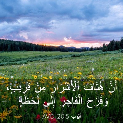 Picture 03 - أَيُّوبَ 20:5 AVD - أَنَّ هُتَافَ - Bible Verse Picture