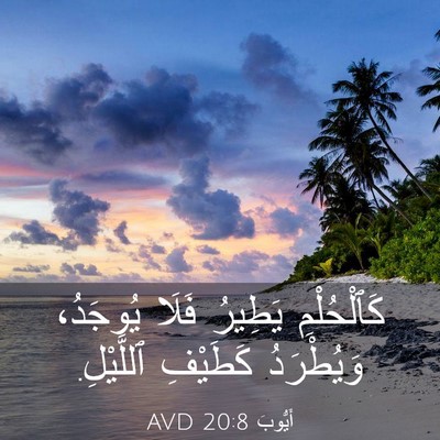 Picture 03 - أَيُّوبَ 20:8 AVD - كَٱلْحُلْمِ يَطِيرُ فَلَا - Bible Verse Picture