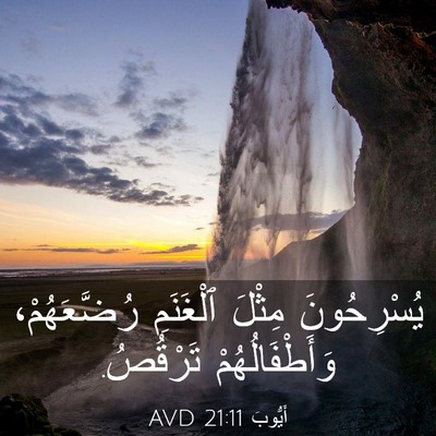 Picture 03 - أَيُّوبَ 21:11 AVD - يُسْرِحُونَ مِثْلَ - Bible Verse Picture