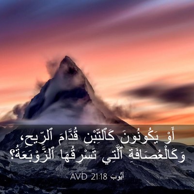 Picture 03 - أَيُّوبَ 21:18 AVD - أَوْ يَكُونُونَ - Bible Verse Picture