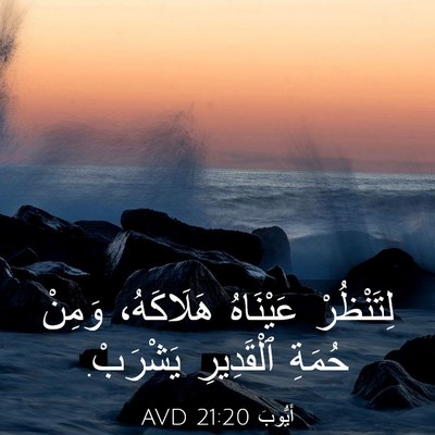 Picture 03 - أَيُّوبَ 21:20 AVD - لِتَنْظُرْ عَيْنَاهُ - Bible Verse Picture