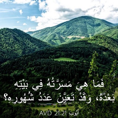 Picture 03 - أَيُّوبَ 21:21 AVD - فَمَا هِيَ مَسَرَّتُهُ فِي - Bible Verse Picture