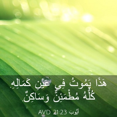 Picture 03 - أَيُّوبَ 21:23 AVD - هَذَا يَمُوتُ فِي عَيْنِ - Bible Verse Picture