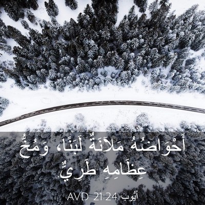 Picture 03 - أَيُّوبَ 21:24 AVD - أَحْوَاضُهُ مَلآنَةٌ - Bible Verse Picture