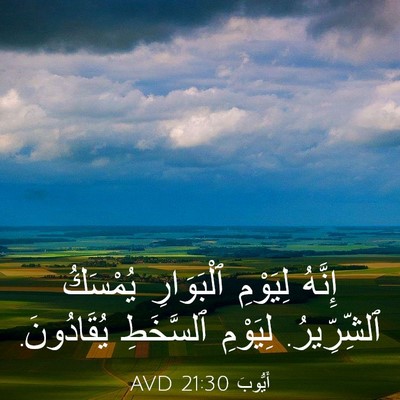 Picture 03 - أَيُّوبَ 21:30 AVD - إِنَّهُ لِيَوْمِ - Bible Verse Picture
