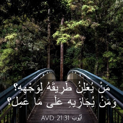 Picture 03 - أَيُّوبَ 21:31 AVD - مَنْ يُعْلِنُ طَرِيقَهُ - Bible Verse Picture