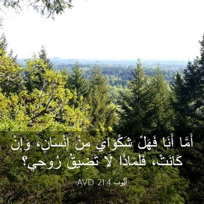 Picture 03 - أَيُّوبَ 21:4 AVD - أَمَّا أَنَا فَهَلْ - Bible Verse Picture