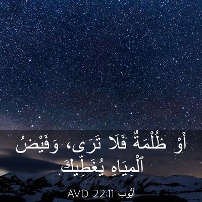 Picture 03 - أَيُّوبَ 22:11 AVD - أَوْ ظُلْمَةٌ فَلَا تَرَى، - Bible Verse Picture