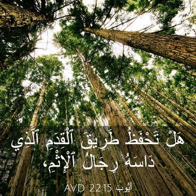 Picture 03 - أَيُّوبَ 22:15 AVD - هَلْ تَحْفَظُ طَرِيقَ - Bible Verse Picture