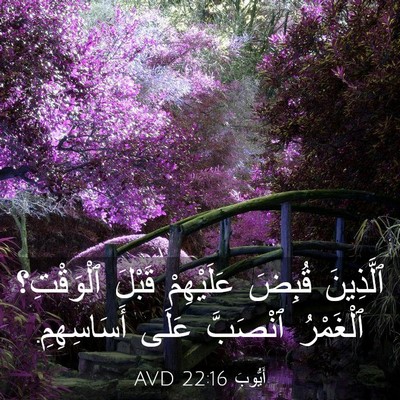 Picture 03 - أَيُّوبَ 22:16 AVD - ٱلَّذِينَ قُبِضَ - Bible Verse Picture