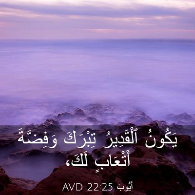 Picture 03 - أَيُّوبَ 22:25 AVD - يَكُونُ ٱلْقَدِيرُ - Bible Verse Picture