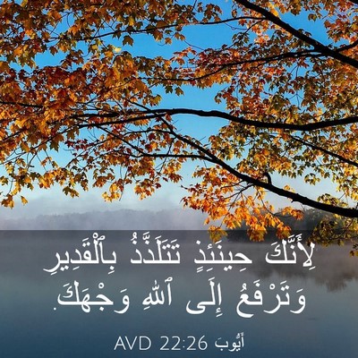 Picture 03 - أَيُّوبَ 22:26 AVD - لِأَنَّكَ حِينَئِذٍ - Bible Verse Picture