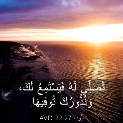 Picture 03 - أَيُّوبَ 22:27 AVD - تُصَلِّي لَهُ - Bible Verse Picture