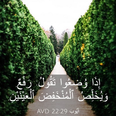 Picture 03 - أَيُّوبَ 22:29 AVD - إِذَا وُضِعُوا تَقُولُ: - Bible Verse Picture