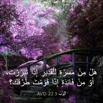 Picture 03 - أَيُّوبَ 22:3 AVD - هَلْ مِنْ مَسَرَّةٍ - Bible Verse Picture