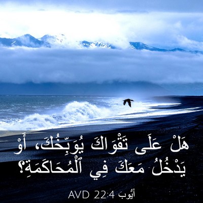 Picture 03 - أَيُّوبَ 22:4 AVD - هَلْ عَلَى تَقْوَاكَ - Bible Verse Picture