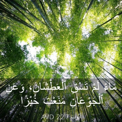 Picture 03 - أَيُّوبَ 22:7 AVD - مَاءً لَمْ تَسْقِ - Bible Verse Picture