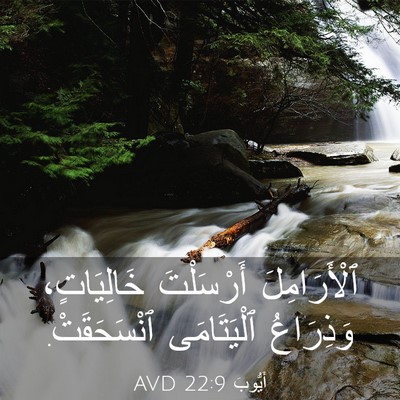 Picture 03 - أَيُّوبَ 22:9 AVD - ٱلْأَرَامِلَ أَرْسَلْتَ - Bible Verse Picture