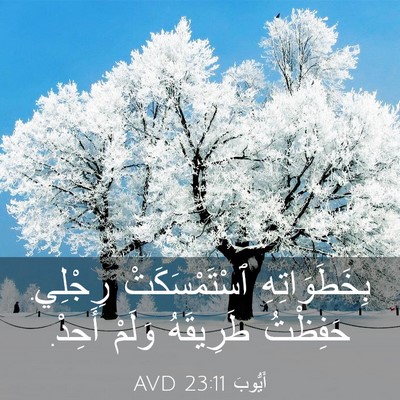 Picture 03 - أَيُّوبَ 23:11 AVD - بِخَطَوَاتِهِ - Bible Verse Picture