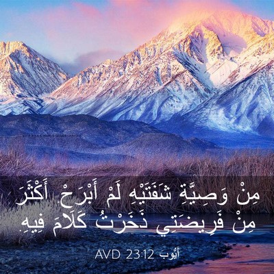 Picture 03 - أَيُّوبَ 23:12 AVD - مِنْ وَصِيَّةِ شَفَتَيْهِ - Bible Verse Picture