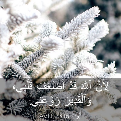 Picture 03 - أَيُّوبَ 23:16 AVD - لِأَنَّ ٱللهَ قَدْ - Bible Verse Picture