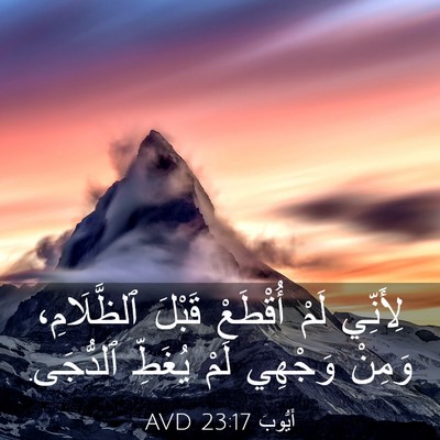 Picture 03 - أَيُّوبَ 23:17 AVD - لِأَنِّي لَمْ أُقْطَعْ - Bible Verse Picture