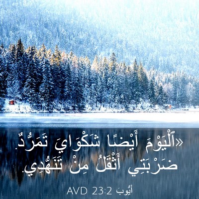 Picture 03 - أَيُّوبَ 23:2 AVD - «ٱلْيَوْمَ أَيْضًا - Bible Verse Picture