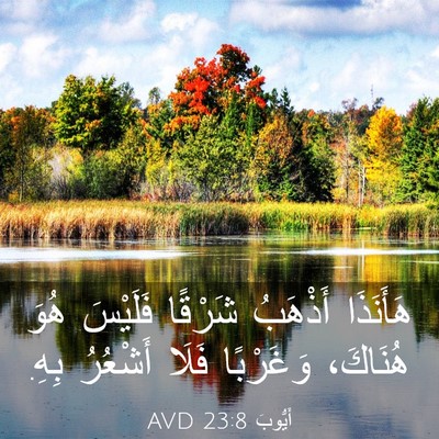 Picture 03 - أَيُّوبَ 23:8 AVD - هَأَنَذَا أَذْهَبُ - Bible Verse Picture