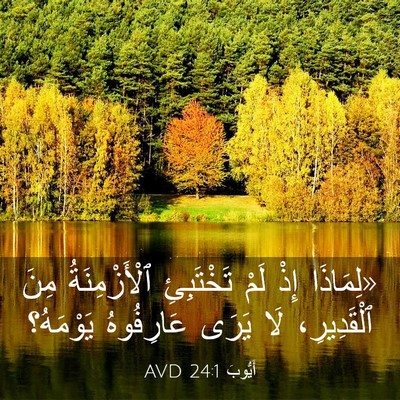 Picture 03 - أَيُّوبَ 24:1 AVD - «لِمَاذَا إِذْ لَمْ - Bible Verse Picture