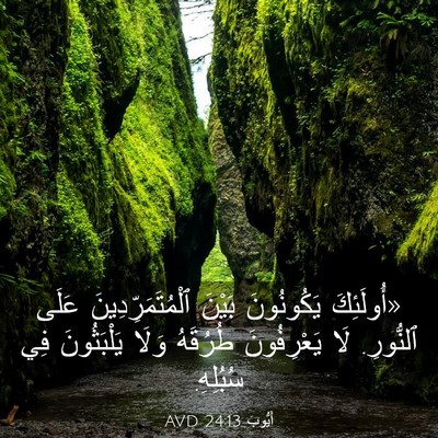Picture 03 - أَيُّوبَ 24:13 AVD - «أُولَئِكَ يَكُونُونَ - Bible Verse Picture