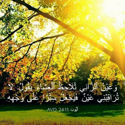 Picture 03 - أَيُّوبَ 24:15 AVD - وَعَيْنُ ٱلزَّانِي - Bible Verse Picture