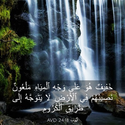 Picture 03 - أَيُّوبَ 24:18 AVD - خَفِيفٌ هُوَ عَلَى وَجْهِ - Bible Verse Picture